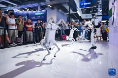 取能分拣物品扫除房间的机械人、具备拍摄导航 