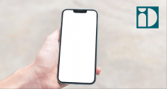 将所有内容集中正在一个域名下可以或许提拔搜 