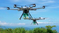 纵份发布了2025年半年度业绩预告 